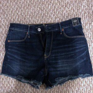 NWT Abercrombie & Fitch High Rise Shorts
